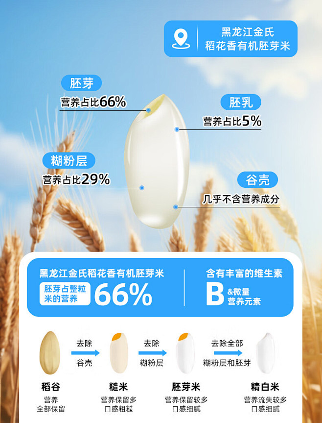 金豆芽铁棍山药燕麦粉儿童即食早餐养胃易冲...