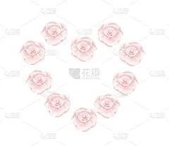 手绘玫瑰花图案插图在白色的背景，心脏形状