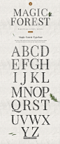 手绘字母与Photoshop和Illustrator的细节 Magic Forest Lettering 字体下载 衬线字体