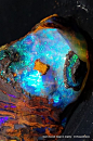 Gem Koroit Opal in Matrix: 