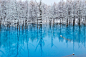 Blue Pond at Snow
Kent Shiraishi