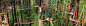丛林探险下载 丛林探险手机版下载【官方安卓版】 太平洋下载中心