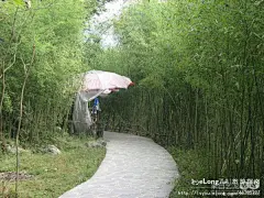龙宫,风刀水剑刻就万倾盆景，根笔藤墨绘制千古绝画！, 哒荔枝旅游攻略