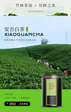 Twinklettwinkle采集到茶