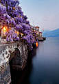 意大利Lake Como ，紫色的美。