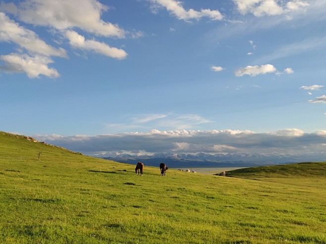 愿溯风，纵马驰骋