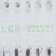 fanny小姐姐采集到签到