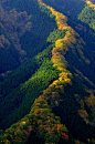 namego valley, Nara 天川村から行者還岳の東側へ抜けると、ナメゴ谷。 龍が天に昇っていくような紅葉。