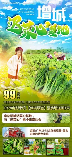 源文件下载【广东增城旅游迟菜心海报】编号：20231011112737030