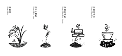 思原采集到大米