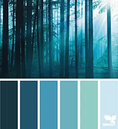 ForestBlues