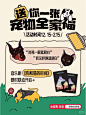 宠物薯 - 小红书