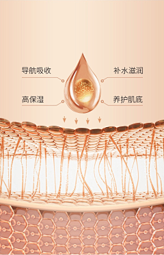 小猫吃大鱼鱼采集到电商（详情页长图参考）
