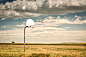 The Basketball Hoops Project on Behance