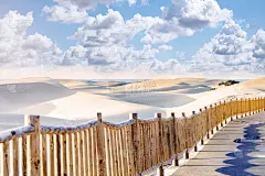 沙丘的Maspalomas