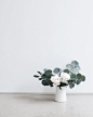 Kindred – Handmade Vases: 