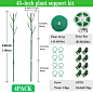 Amazon.com : 4 Pack Support Stakes for Indoor Plants, 43 Inch Monstera Support With Orchid Clips, Twist Ties and Strap, Twig Sticks for Potted Flowers and Outdoor Climbing Plants : Patio, Lawn & Garden