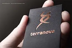 国外精致的烫金工艺的名片设计