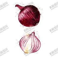 手绘彩色蔬菜免扣素材图片 【酷图网】洋葱,手绘洋葱,青菜插画,蔬菜插画,手绘蔬菜,手绘青菜,健康饮食,果蔬,蔬菜,水果,饭菜,绿色蔬菜,食物手绘,小清新,素材,美食,餐饮,手绘,食材,插画,火锅食材,食物,光盘行动,拒绝浪费,光盘,公益,宣传,卡通,PNG,免抠,免抠图,抠图,元素,透明,蔬菜素材,蔬菜沙拉,沙拉,有机蔬菜,天然,健康