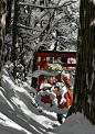 冬 神社