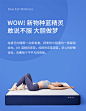 【8HGL】8H蓝精灵床垫 小米分区独袋弹簧席梦思垫GL 蓝盒装可折叠防螨抗菌记忆绵单双人垫1.8M 克莱因蓝 180*200*23CM【行情 报价 价格 评测】-京东