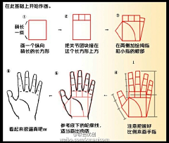 ZFang51采集到教程