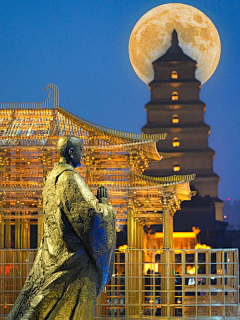 -五熊采集到广告素材