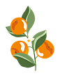 复古清新水果植物柠檬樱桃蓝莓背景印花免抠PNG元素 AI矢量素材 (34)