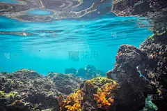 海洋,水下摄影机,清水市,海底,水下,摩洛哥,拍摄场景,水平画幅,地形,无人