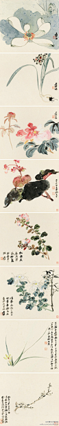 【 张大千 《花卉册》 】镜心，纸本设色，24×27cm×8，1966年作。1966年夏，张大千世讲李顺华夫妇赴八德园小住一月，与张大千谈艺事，请益书法绘事时，所赠册页精品：《花卉册》、《蔬果册》。此双绝册记载了李家与张家的两代墨缘。大千时常以画作相赠，件件精品，无一件敷衍了事，草草应付之笔。