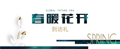 trsyu采集到标题