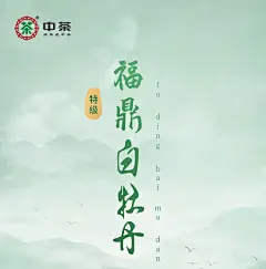 中茶福鼎白茶 礼鉴系列DW1131木盒特级白牡丹白茶250g 送礼礼盒装-tmall.com天猫