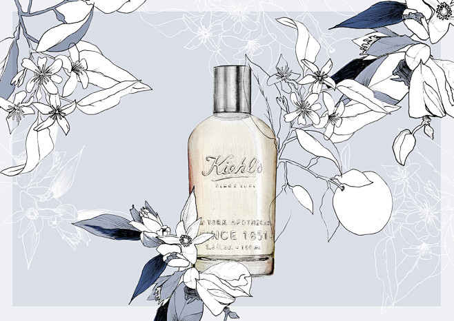 Perfume Pentaptych :...