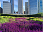 2020 ASLA 地标奖：偶然的杰作 – 芝加哥千禧公园 / Millennium Park Foundation : 创造在艺术、建筑和设计方面均具备最高标准的城市、公共和文化空间