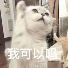 想要一些职场用的表情包[喵喵] 来自表情包 - 微博