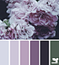 flora hues