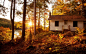 秋季景觀，森林，樹木，夕陽，房子 桌布 - 1280x800