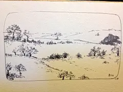 枣子子  的插画 无责任日绘步骤图和几张涂鸦