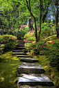Garden Path...my front yard would dramatically improve with this pathway. I will add to the wish list!