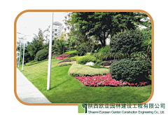 eZkCacbp采集到构图