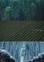 [ 概念策划60] - 莫干山秘境酒店设计 - 小红书
- - - - - - - - - - - - - -
 ——→ 【 率叶插件，让您的花瓣网更好用！】> https://lvyex.com