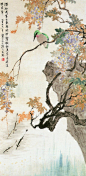 江寒汀 水墨花鸟