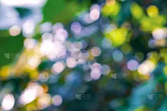 黄金,抽象,背景,绿色,背景虚化,庆祝