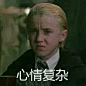 哈利波特吧_百度贴吧