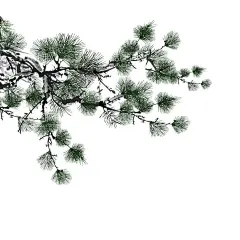 松树  - 源文件下载【酷图网】松树,高山,不老松,远山,风景,长寿松,手绘,设计,广告设计,