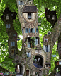 Amazing tree of fairy houses: 