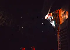 微光映衬出红色，这一抹微光与色彩在这个黑色的世界中尤为耀眼。