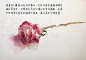 #资源君# 画一只玫瑰花！自己借鉴，转需！（作者：@苏洱水彩） ​​​​