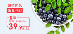 yy榕树采集到榕树~酷~栈