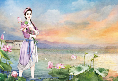 醉琴思采集到荷花女子